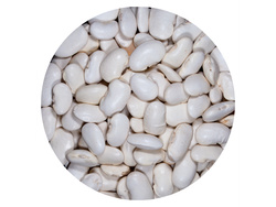 POROTO PALLARES (BLANCO)