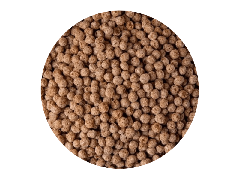 QUINOA POP ALGARROBA