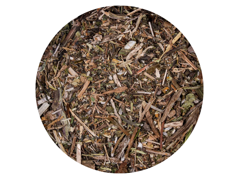 AMARGÓN O DIENTE DE LEÓN