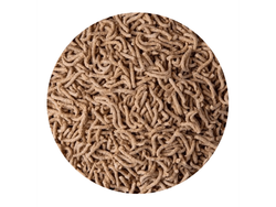 BASTONCITO DE SALVADO