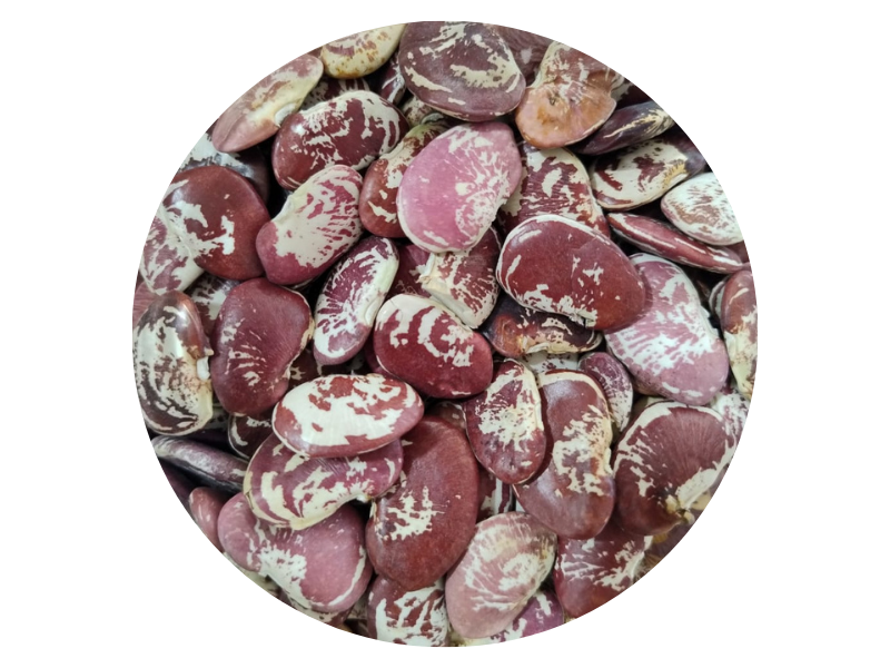 POROTO PALLARES (VETEADO)