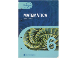 MATEMÁTICA 6 DINÁMICA P. PALOS