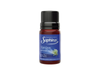 Aceite para Hornillos Night Queen