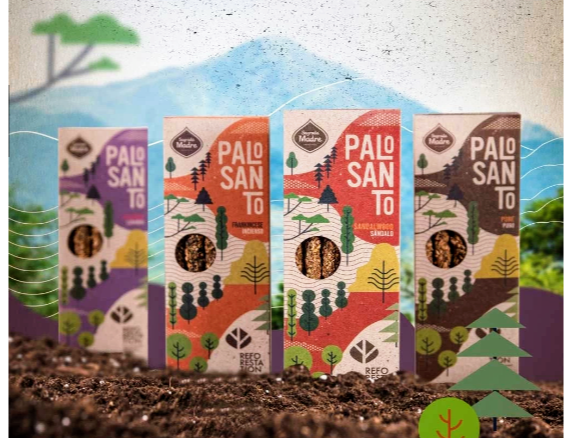 Reforestación palo santo