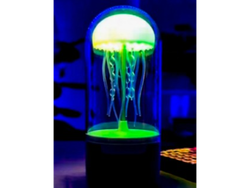 Lámpara parlante mesusa