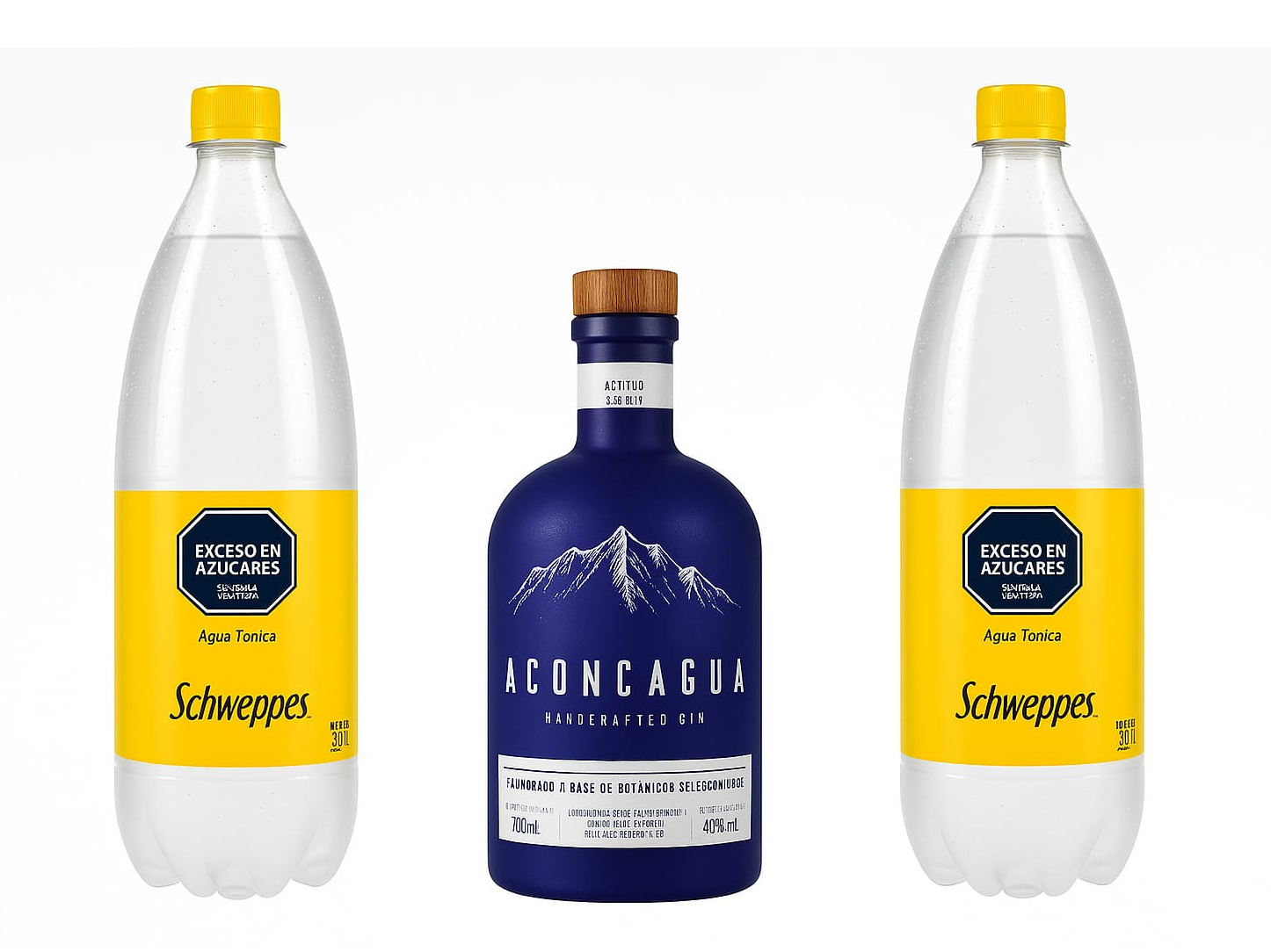 GIN ACONCAGUA CLASICO + 2 SCHWEPPES TONICA
