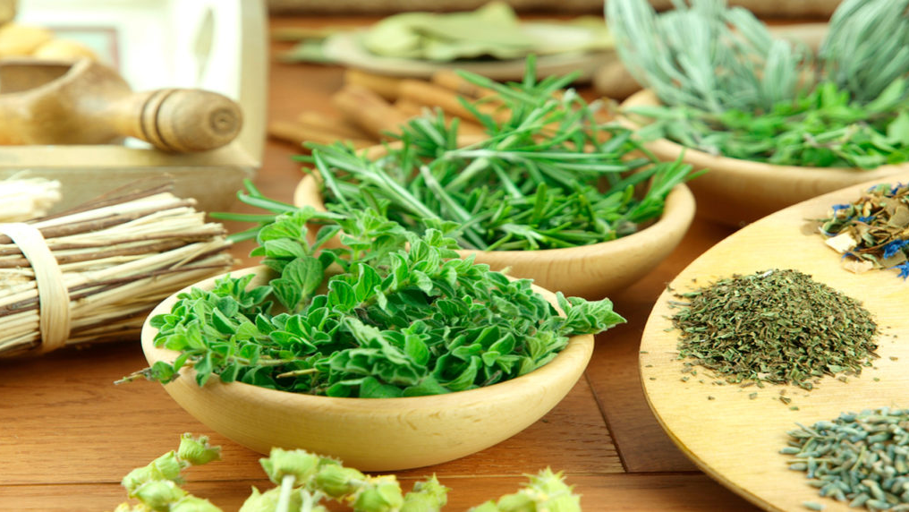 HIERBAS MEDICINALES