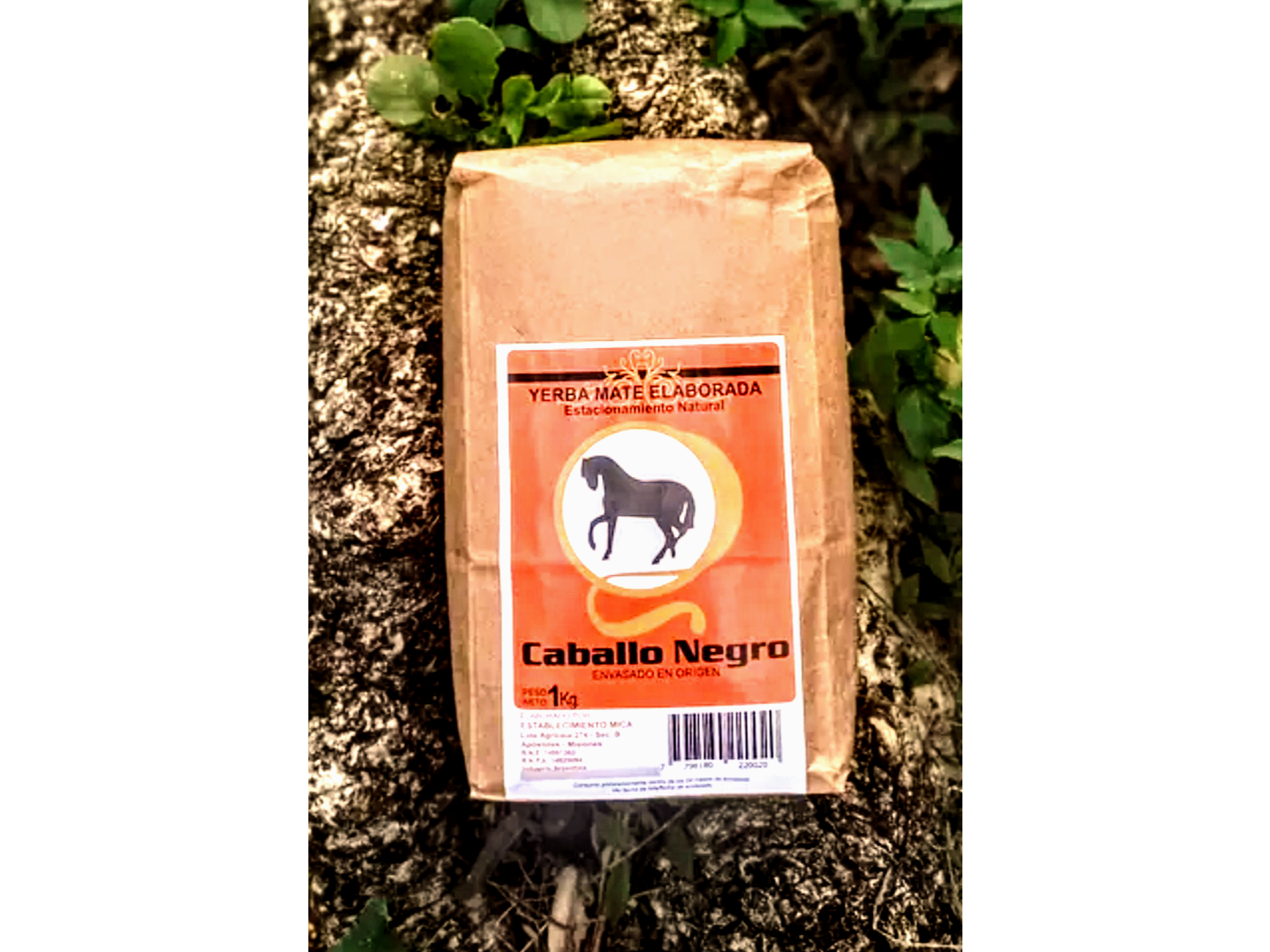 YERBA CABALLO NEGRO TRADICIONAL x 1 KG