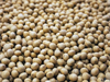 POROTO DE SOJA