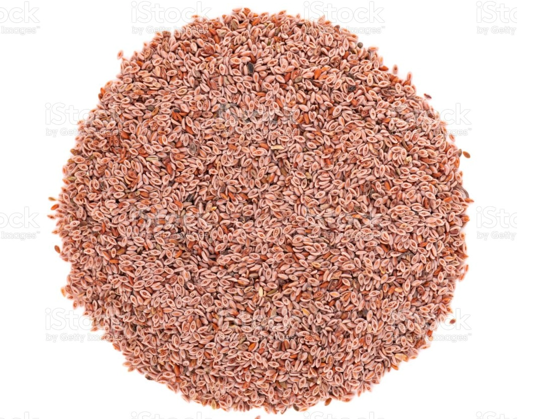 PSYLLIUM x 100 GR