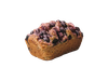 BUDIN PATAGONICO