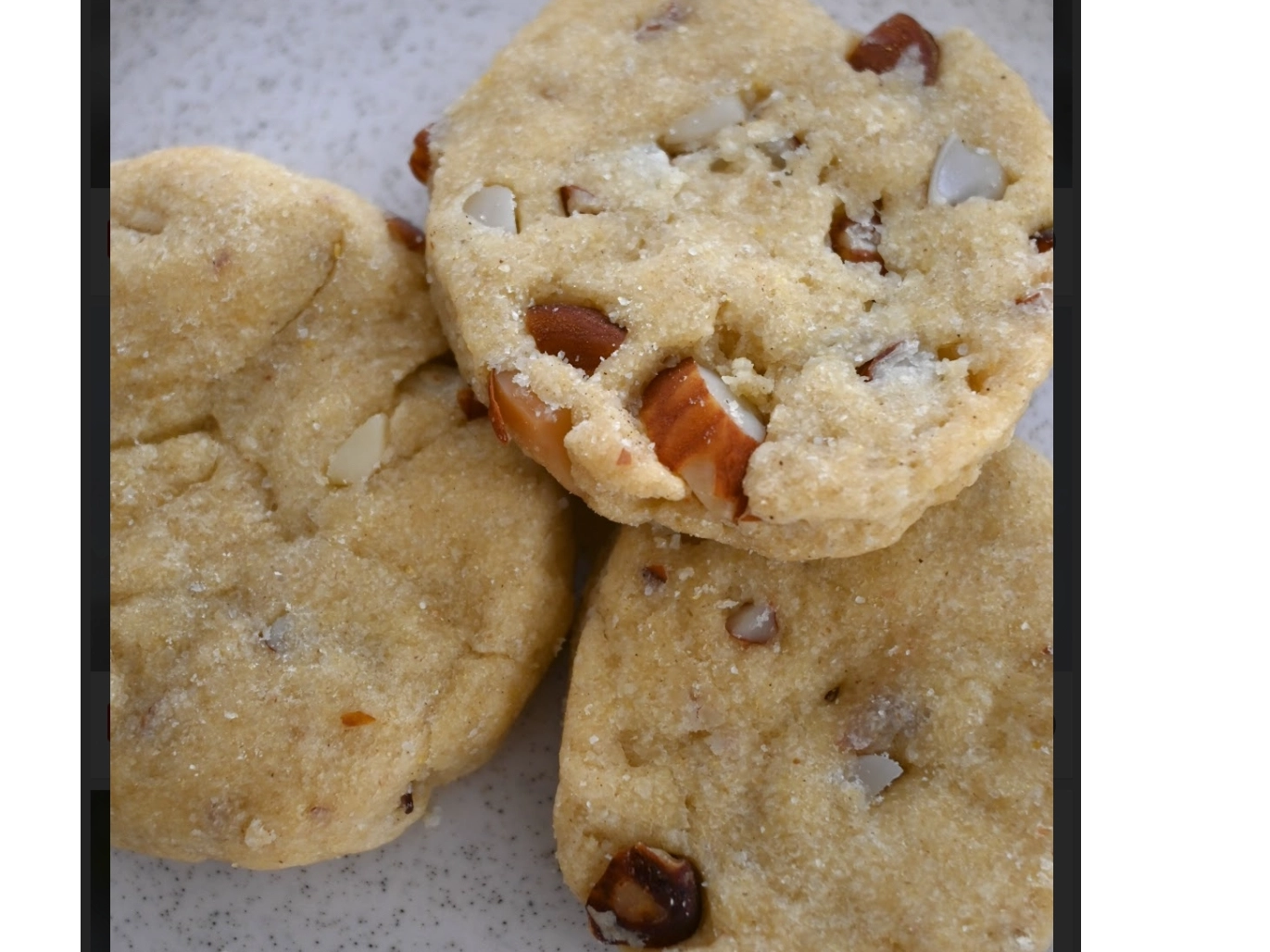 GALLETA SABOR VAINILLA CON NUECES