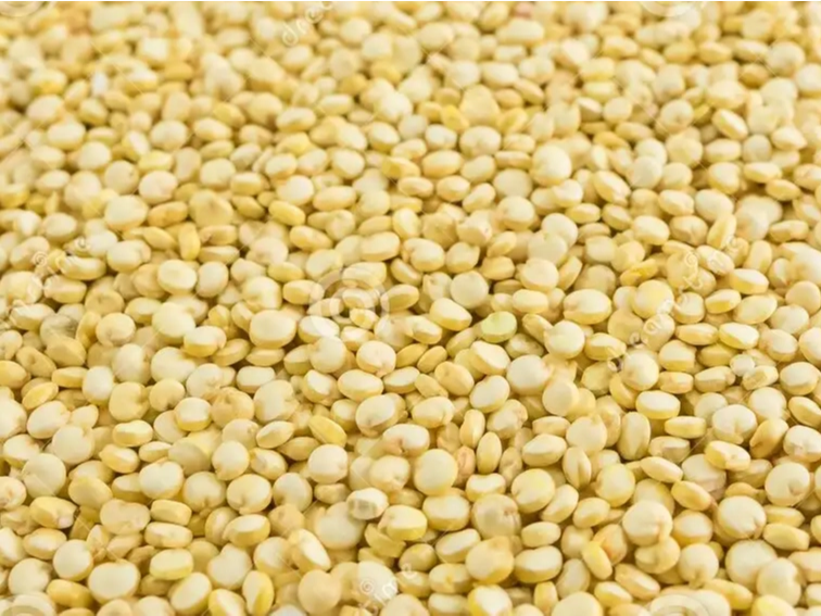 QUINOA BLANCA