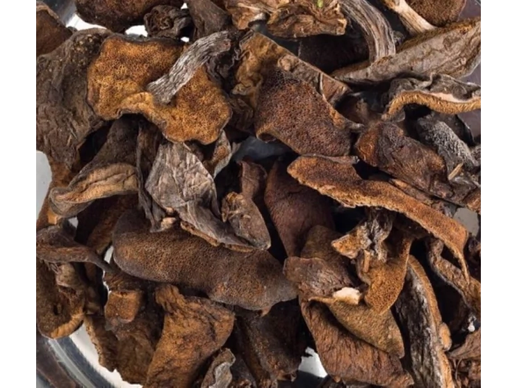 HONGOS DE PINO x 100 GR