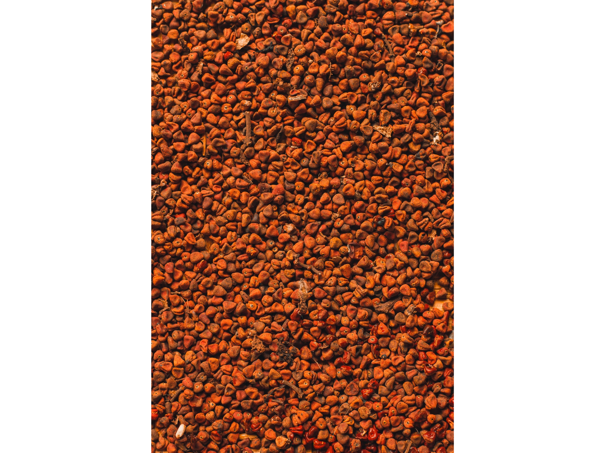 URUCUM x 100 GR