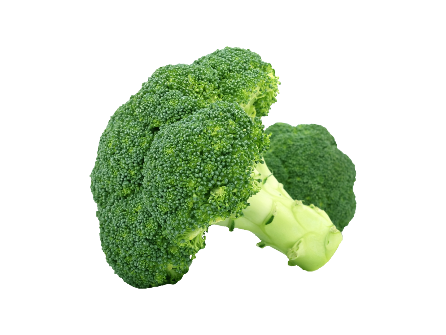 BROCOLI