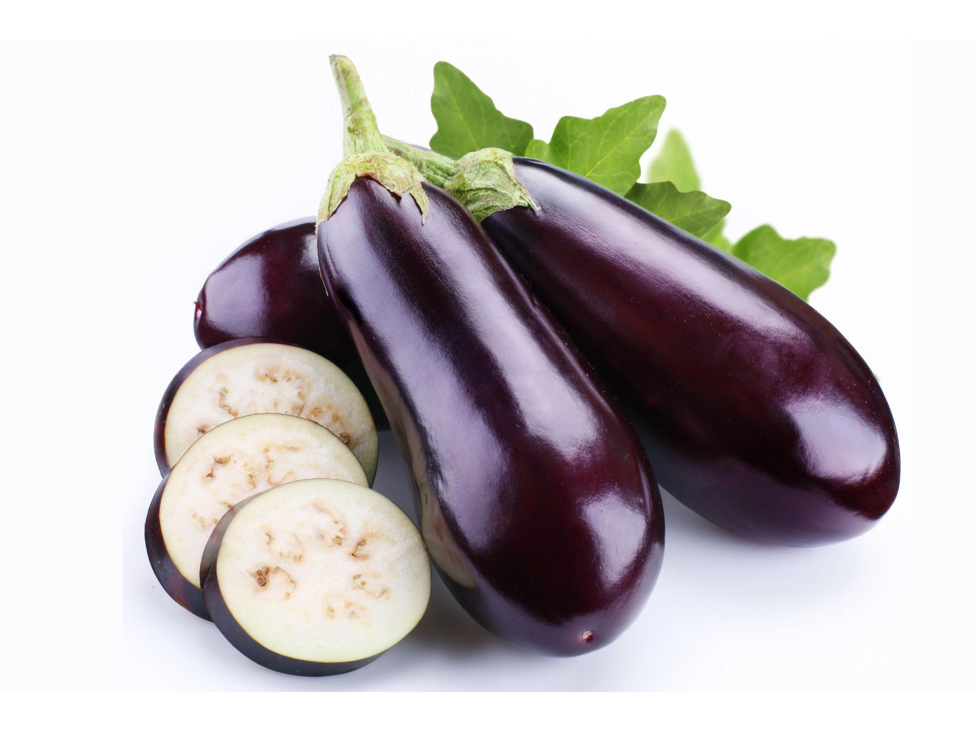 BERENJENA