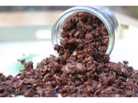 GRANOLA CON CACAO X KG