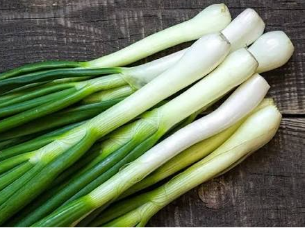Cebolla de verdeo