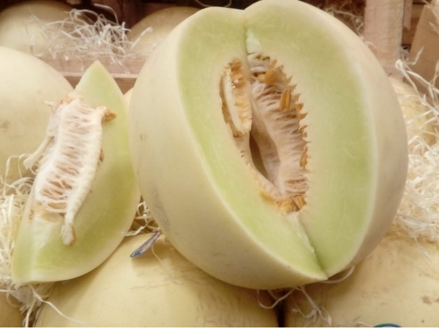 Melón rocio de miel