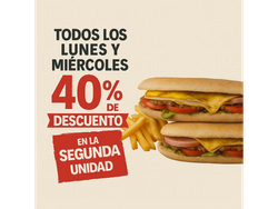 40% DCTO 2DA UD LOMO (LUNES Y MIERCOLES)
