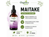 Maitake