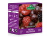 Te Frutos Del Bosque 10 Saq-SAINT GOTTARD