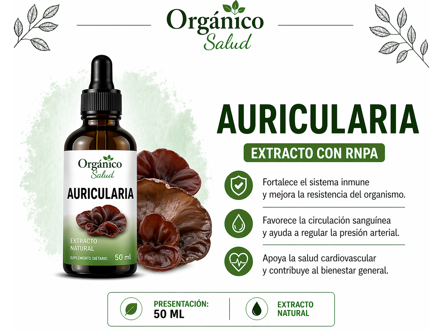 Auricularia