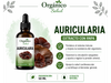 Auricularia