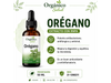 Orégano