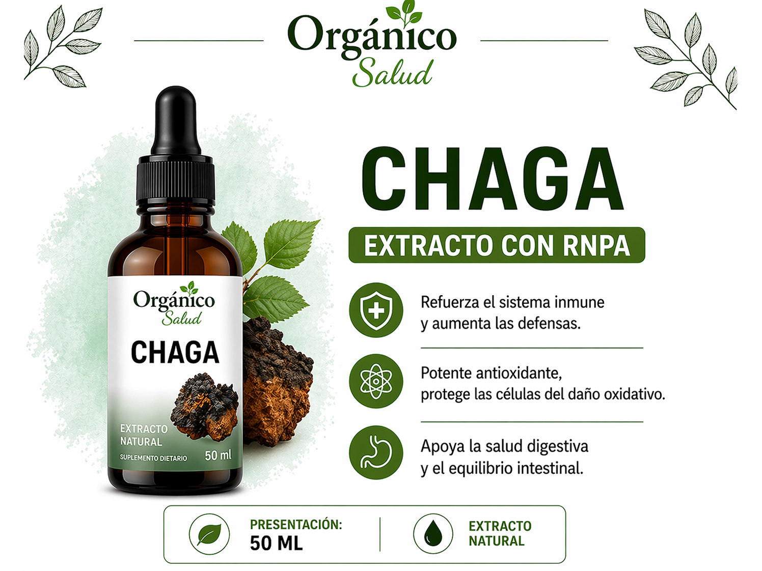 Chaga