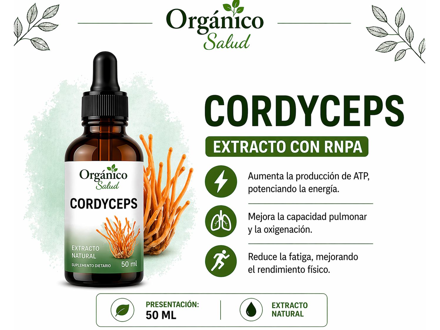 Cordyceps