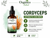 Cordyceps