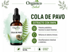 Cola de pavo