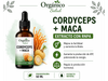 Cordyceps + maca