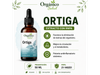 Ortiga