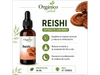 Reishi