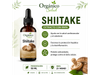 Shiitake