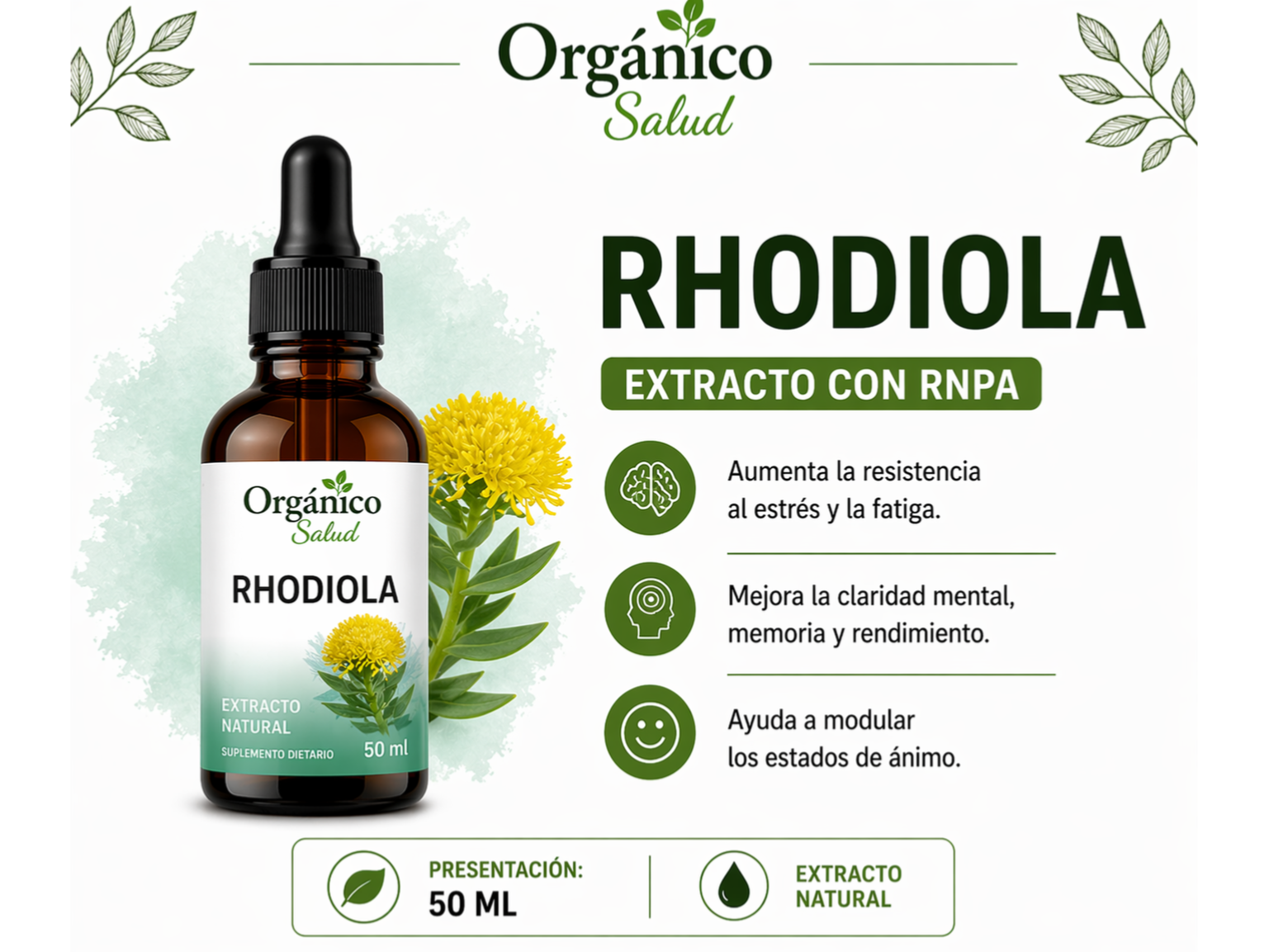 Rhodiola