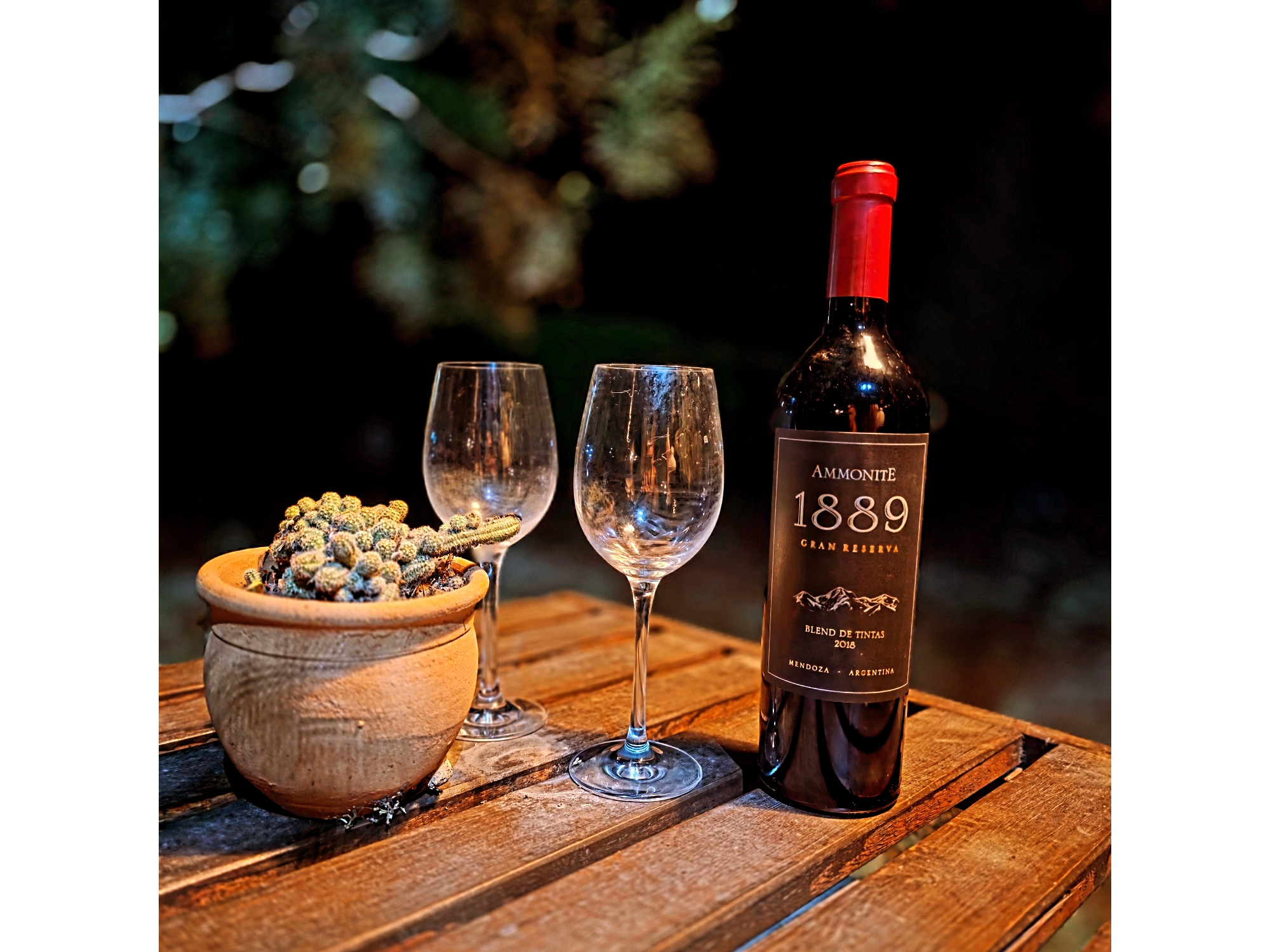 Ammonite Gran reserva 1889, Blend de tintas 2018. de Cavala bebidas