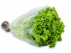 Lechuga hidroponia
