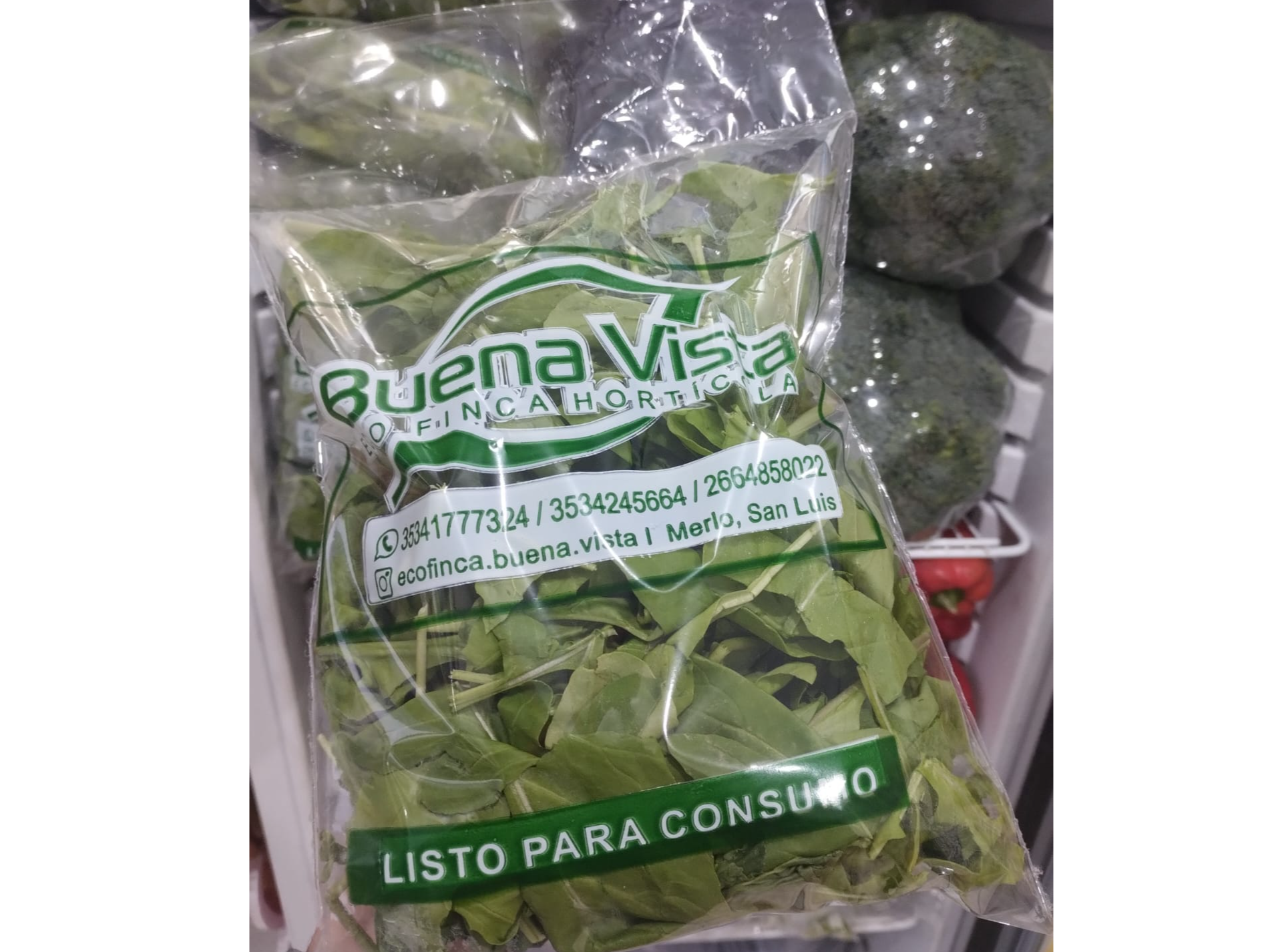 Rucula lavada