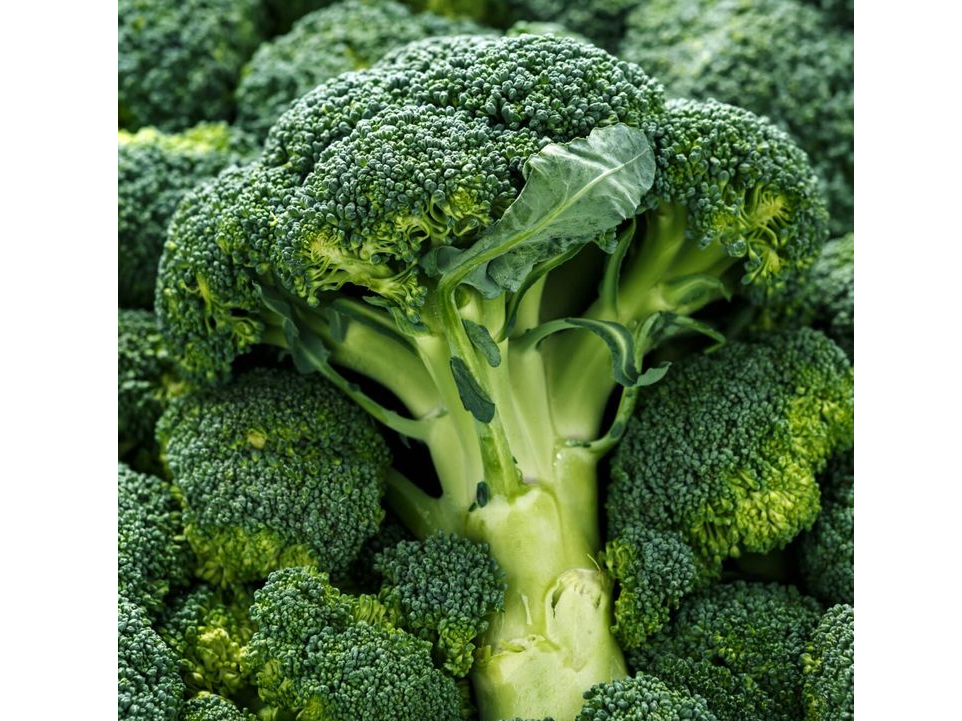 Brocoli