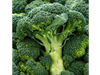 Brocoli