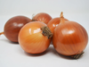 Cebolla