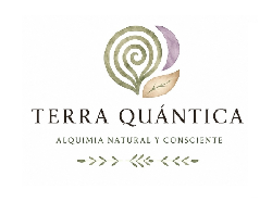 Logo Terra Quàntica