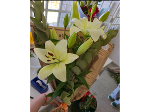 Ramo Elegancia de Tinflores
