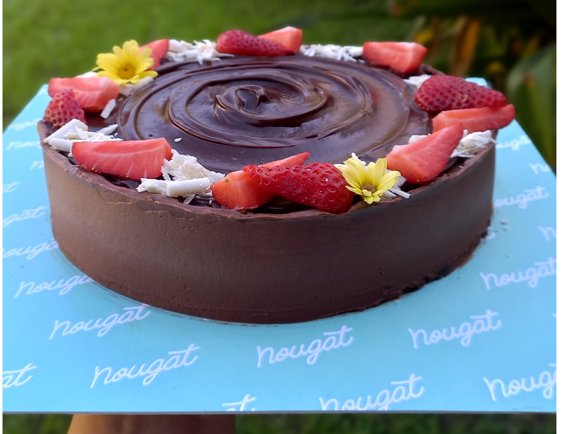 Mousse chocoNut