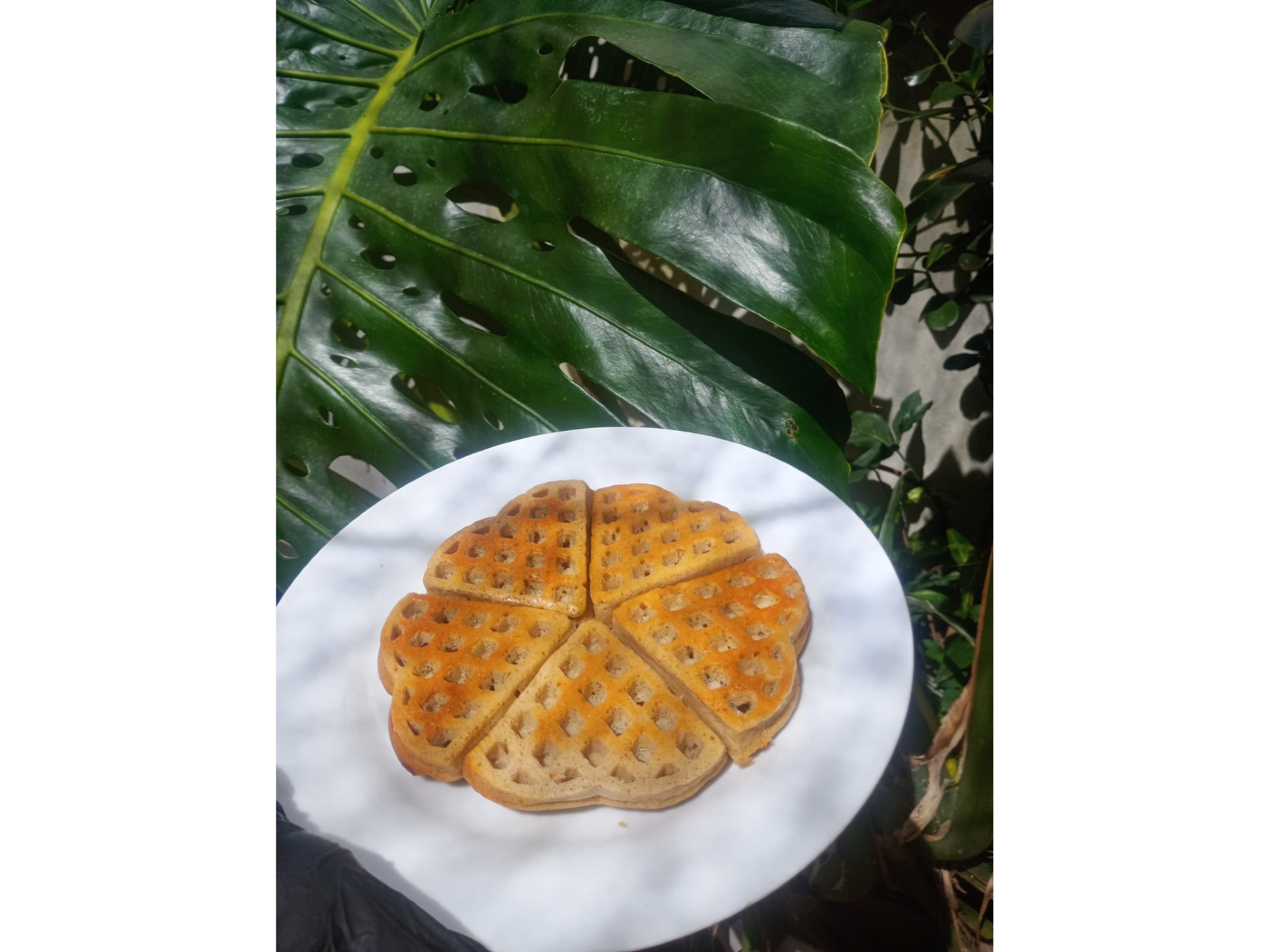 Waffles sin gluten vainilla