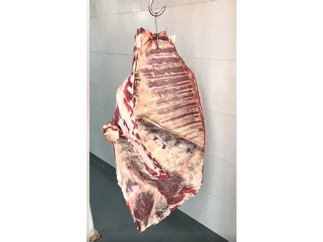 COSTILLAR COMPLETO